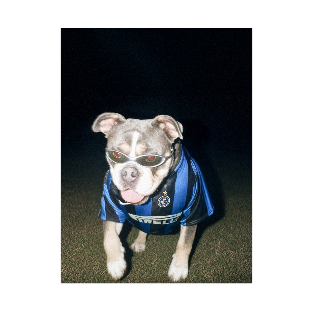 "San Siro" - Framed Pet Portrait