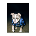 "San Siro" - Framed Pet Portrait