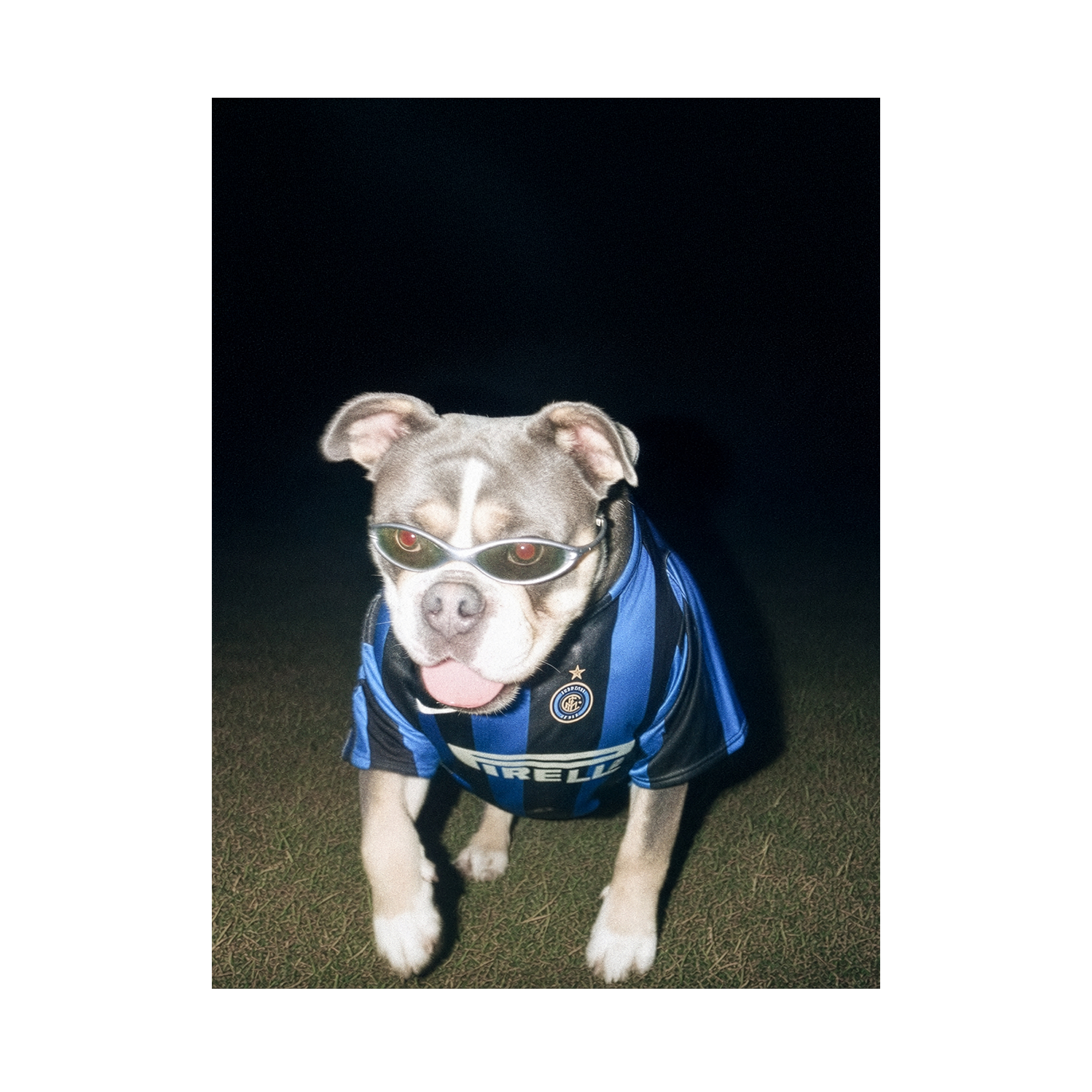 "San Siro" - Framed Pet Portrait