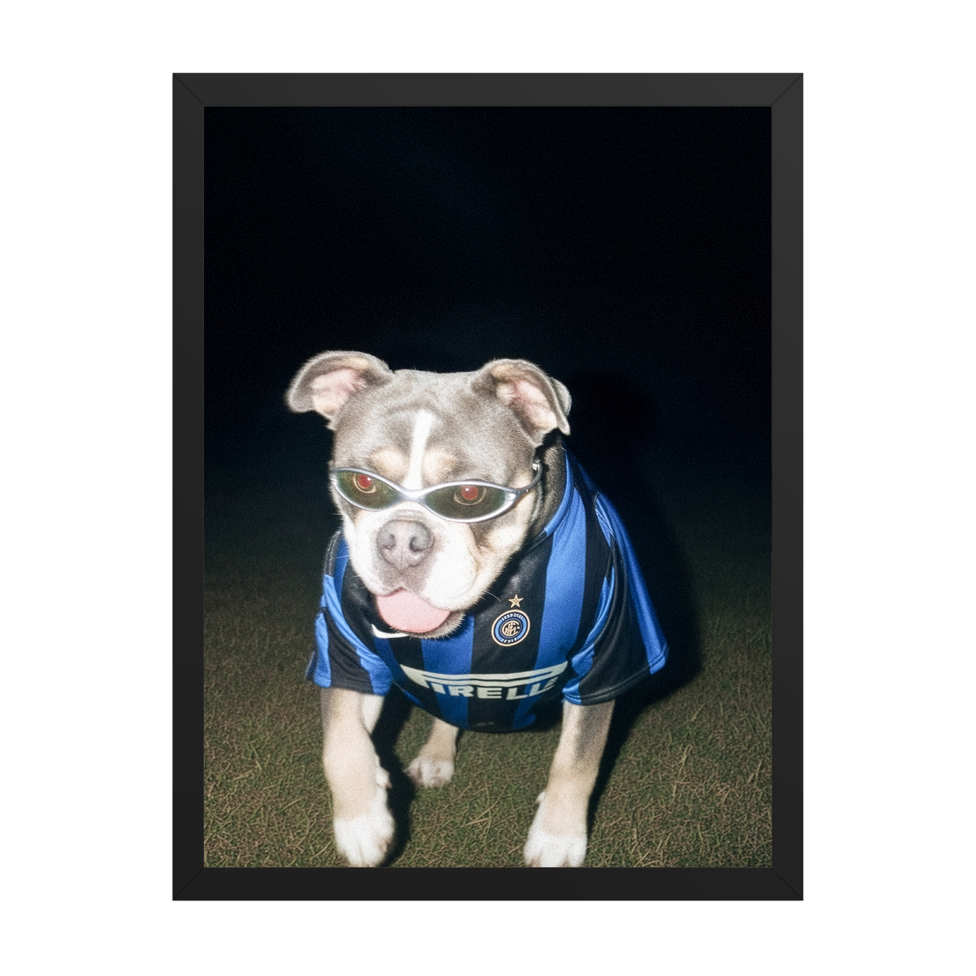 "San Siro" - Framed Pet Portrait