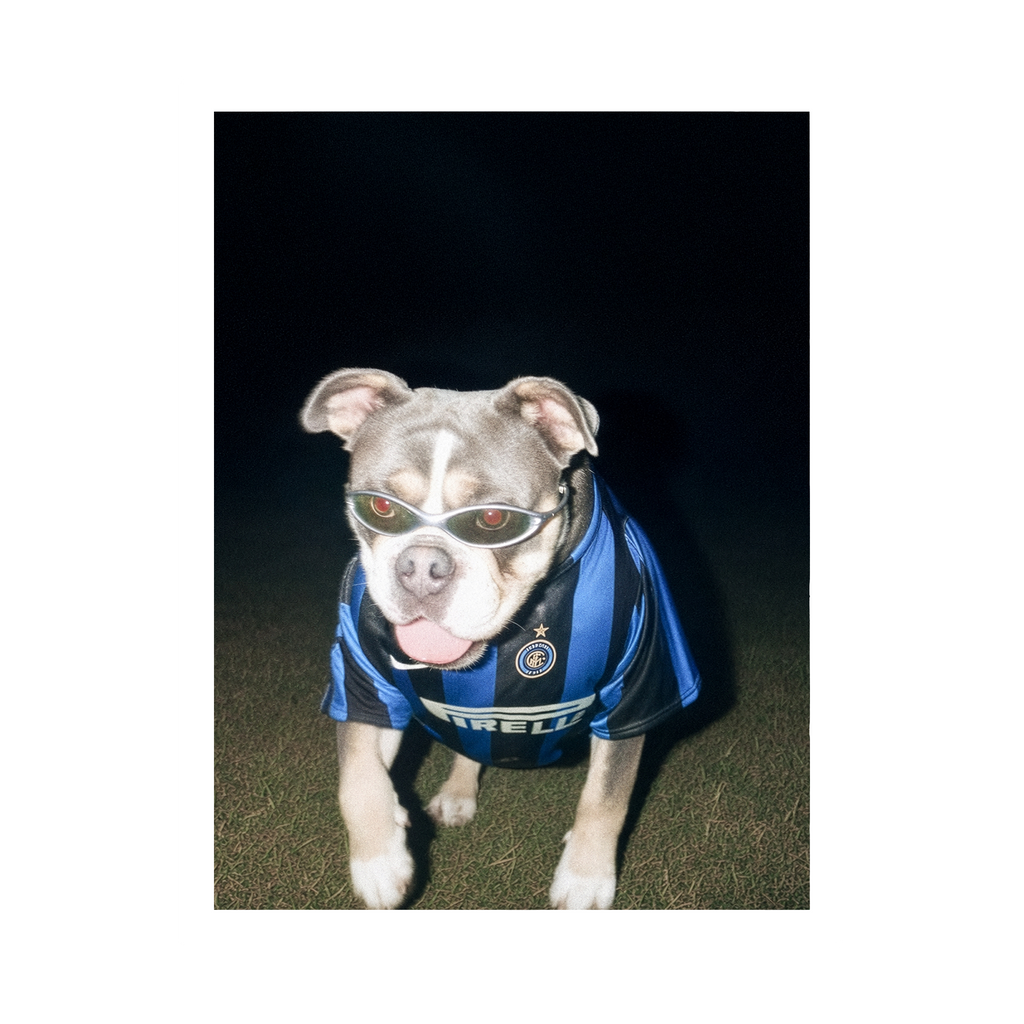 "San Siro" - Framed Pet Portrait