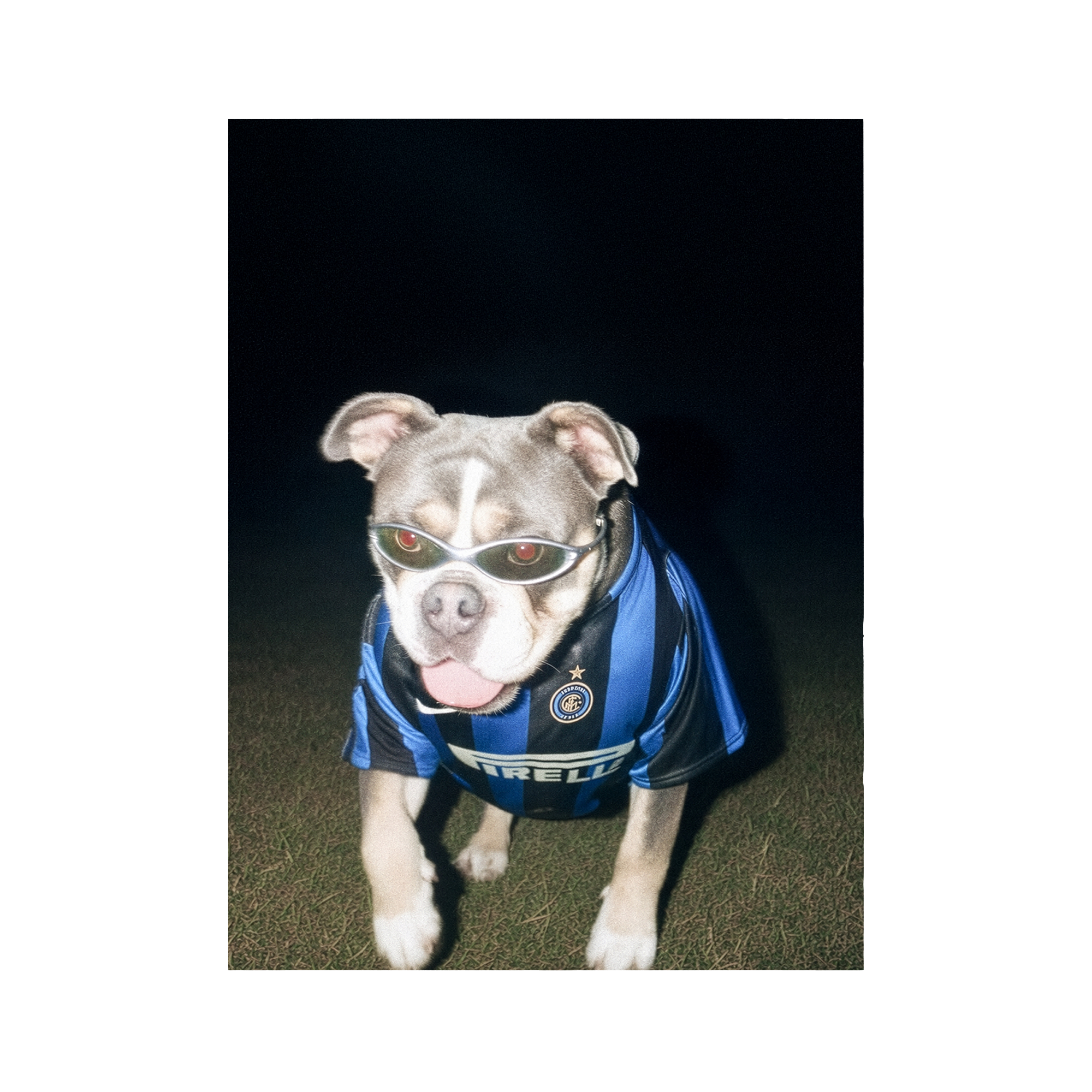 "San Siro" - Framed Pet Portrait