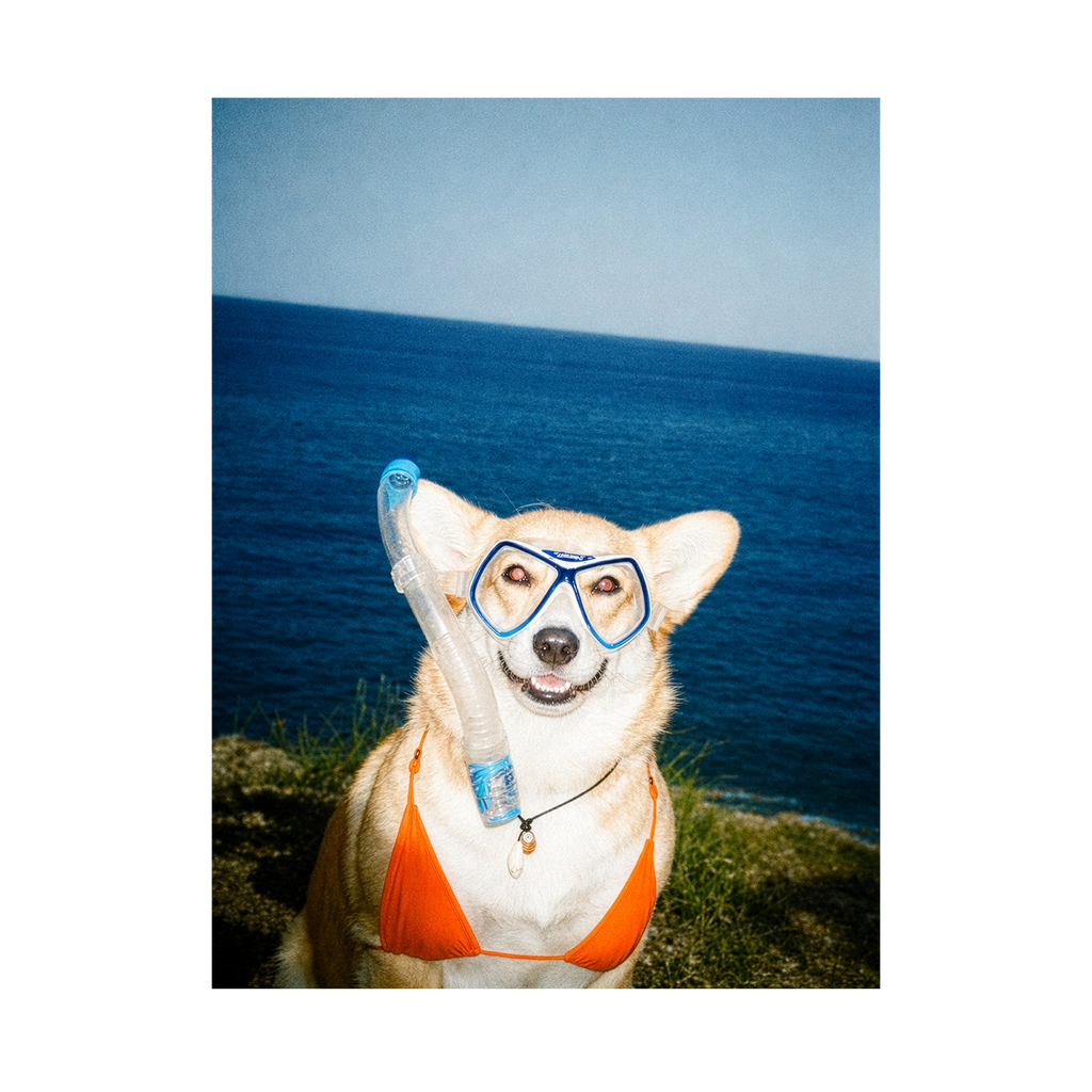 "Beach Body"  - Framed Pet Portrait