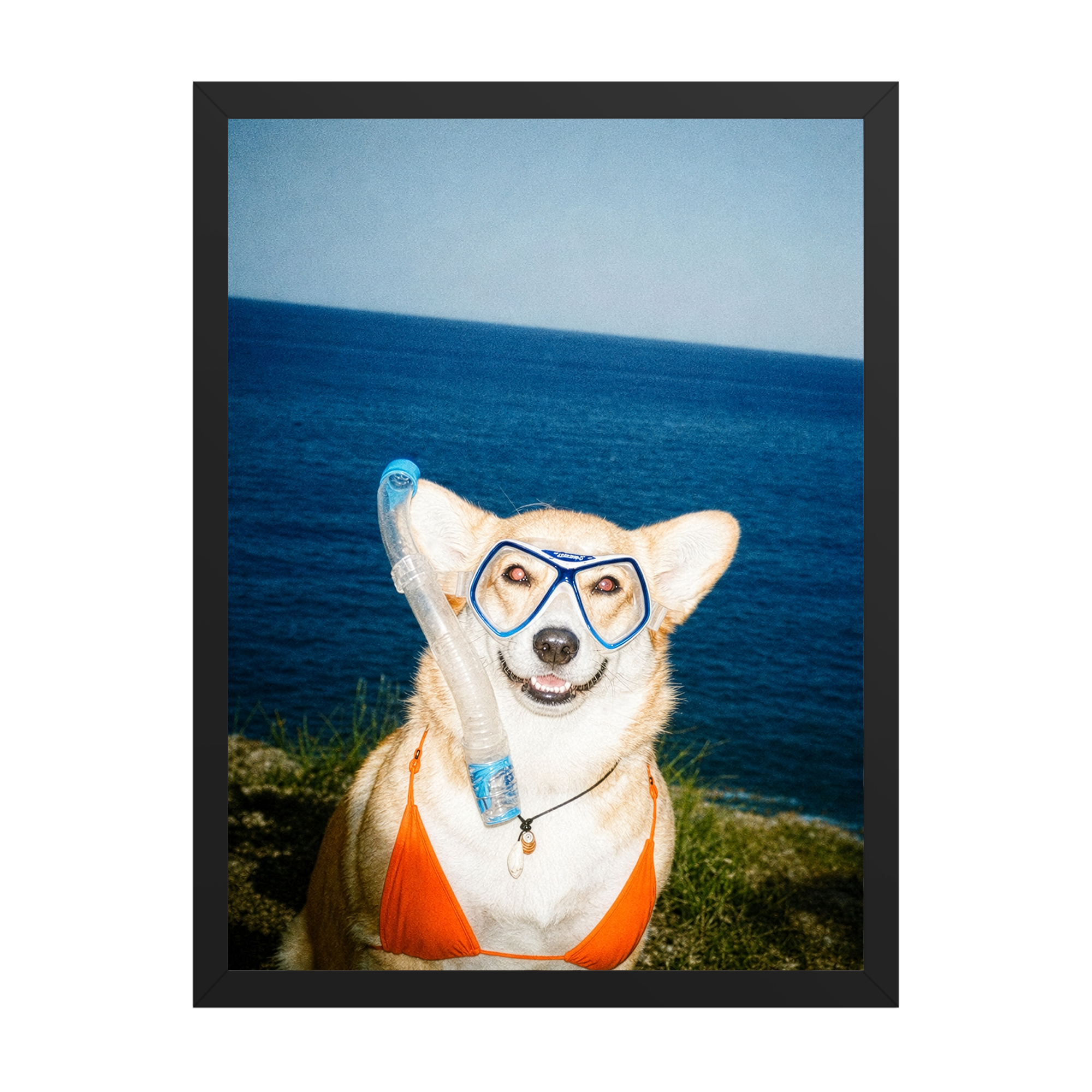 "Beach Body"  - Framed Pet Portrait