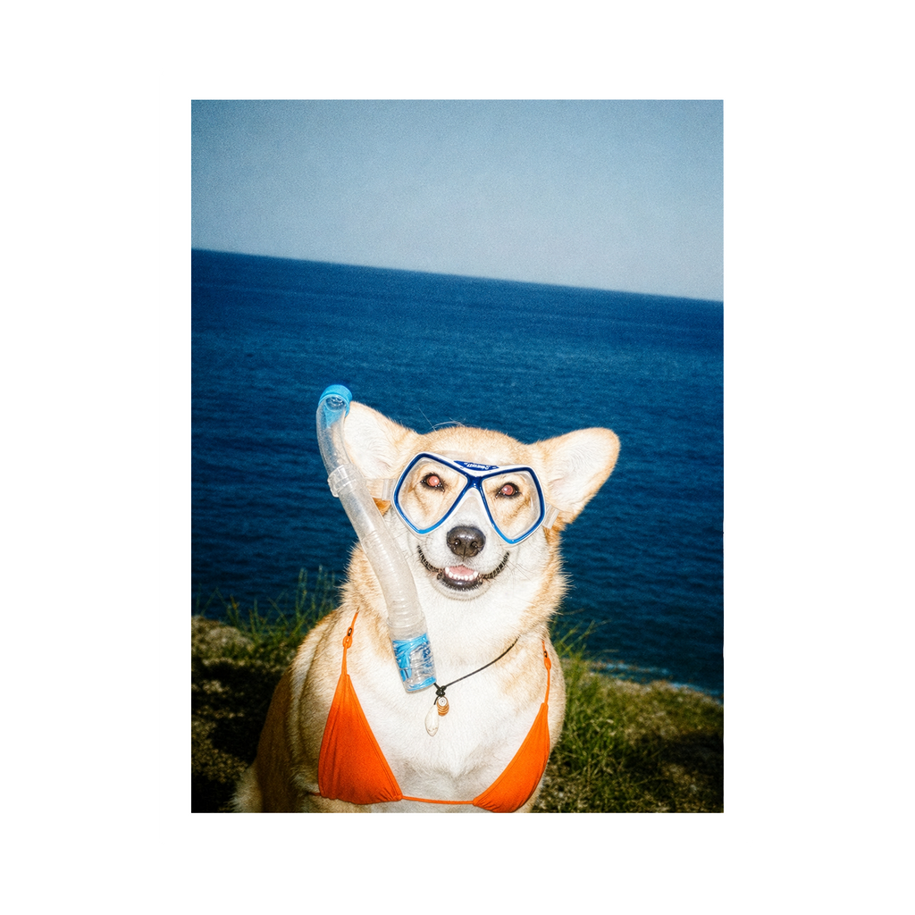 "Beach Body"  - Framed Pet Portrait