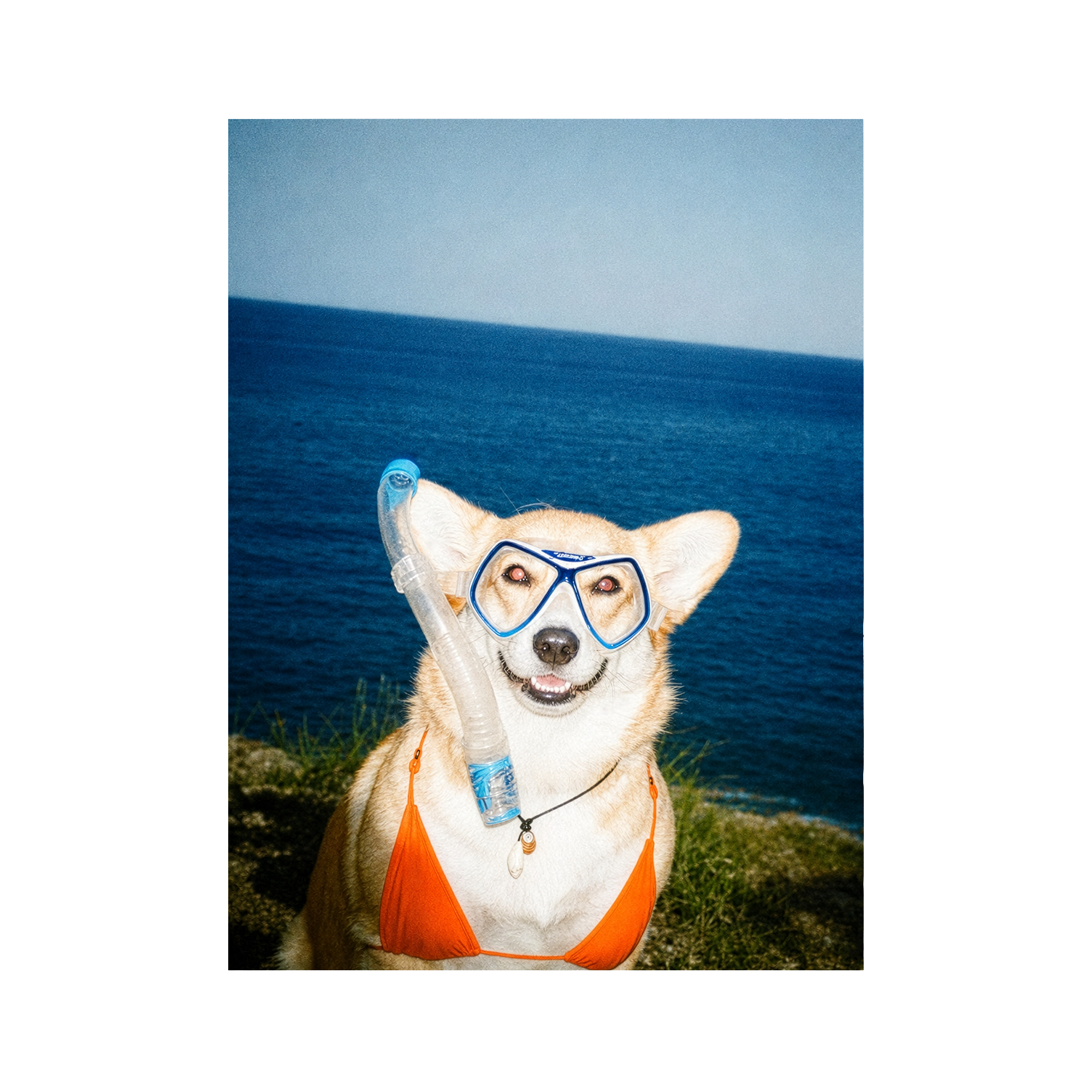 "Beach Body"  - Framed Pet Portrait