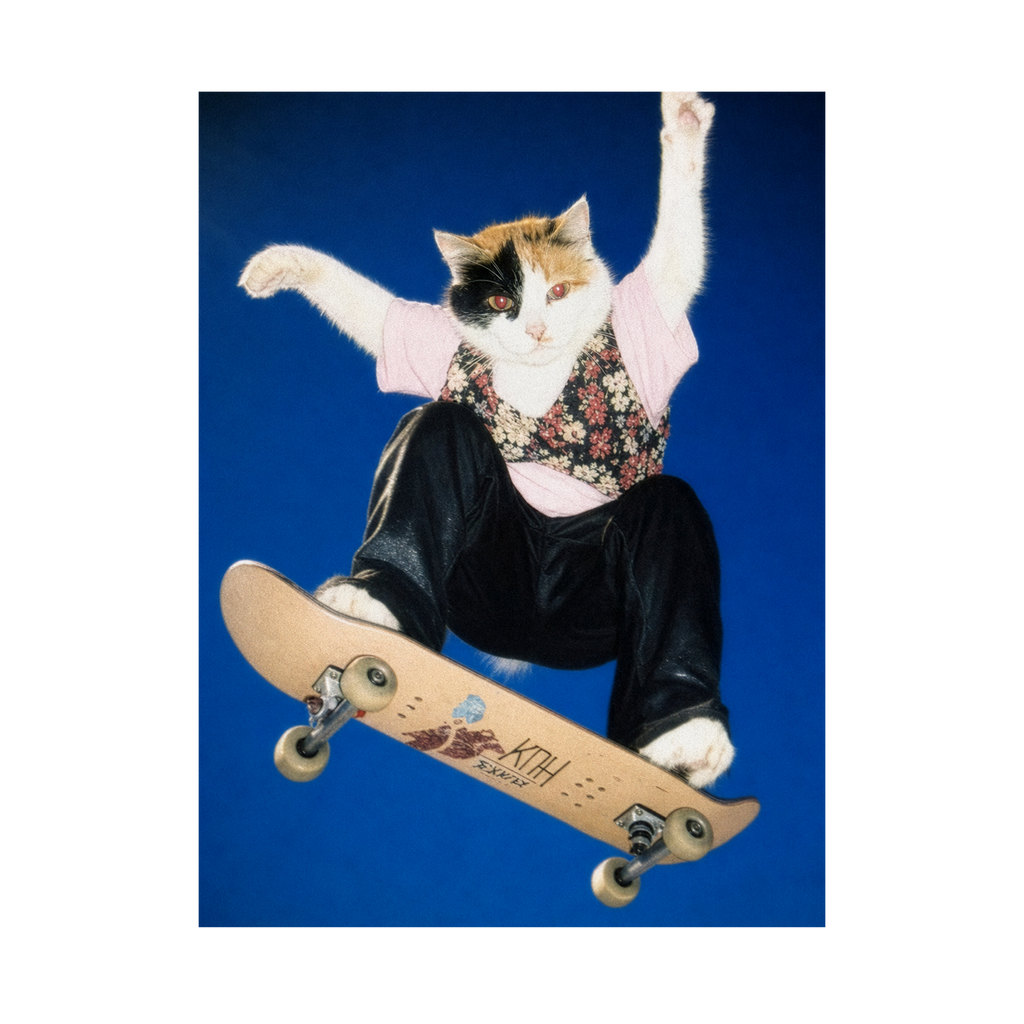 "Half Pipe" - Framed Pet Portrait