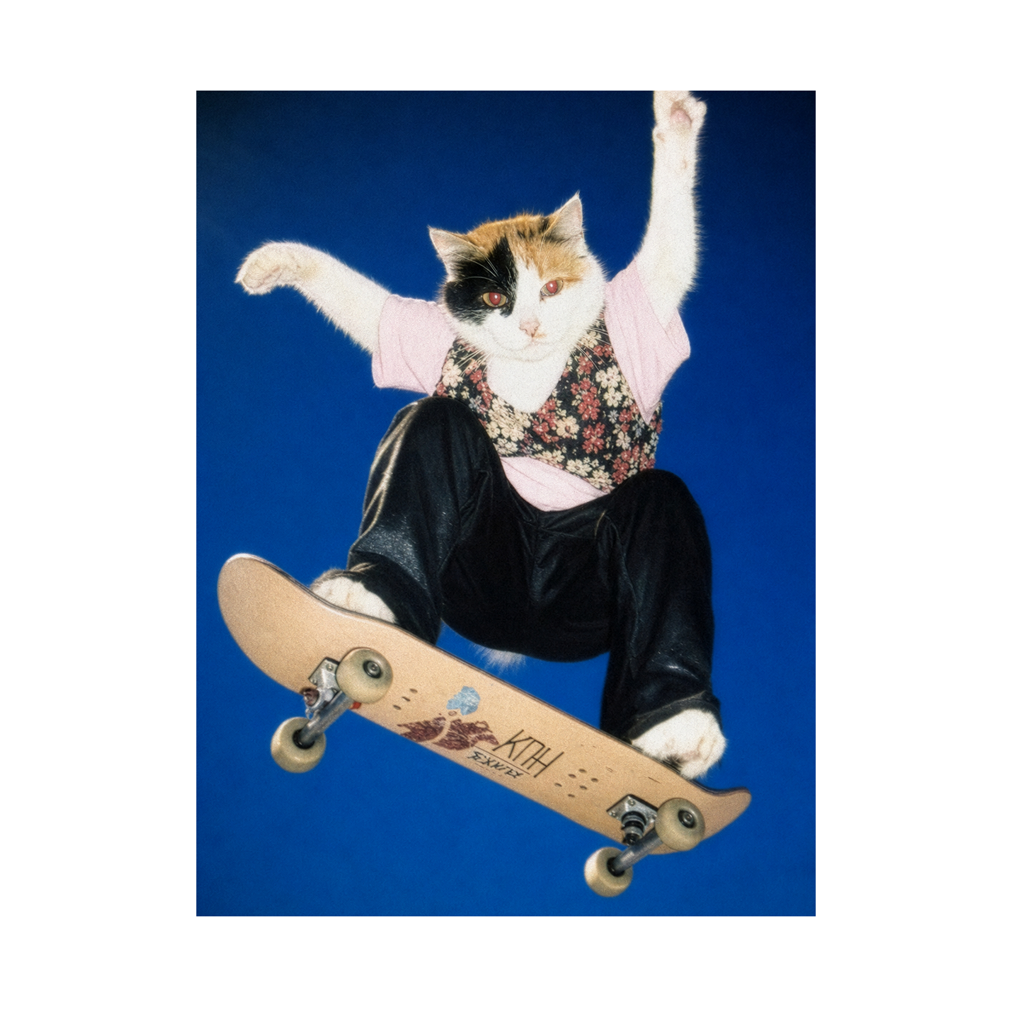 "Half Pipe" - Framed Pet Portrait