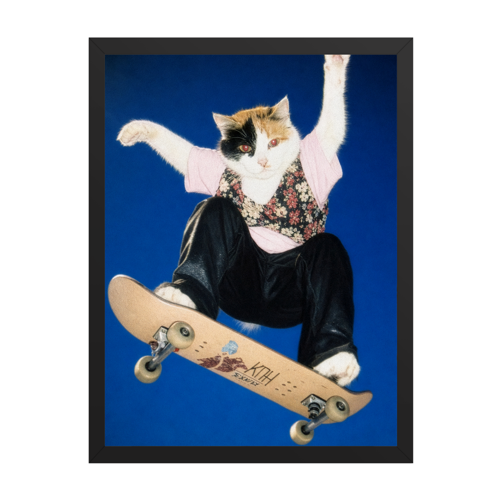 "Half Pipe" - Framed Pet Portrait