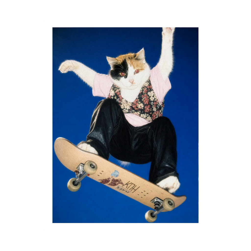 "Half Pipe" - Framed Pet Portrait