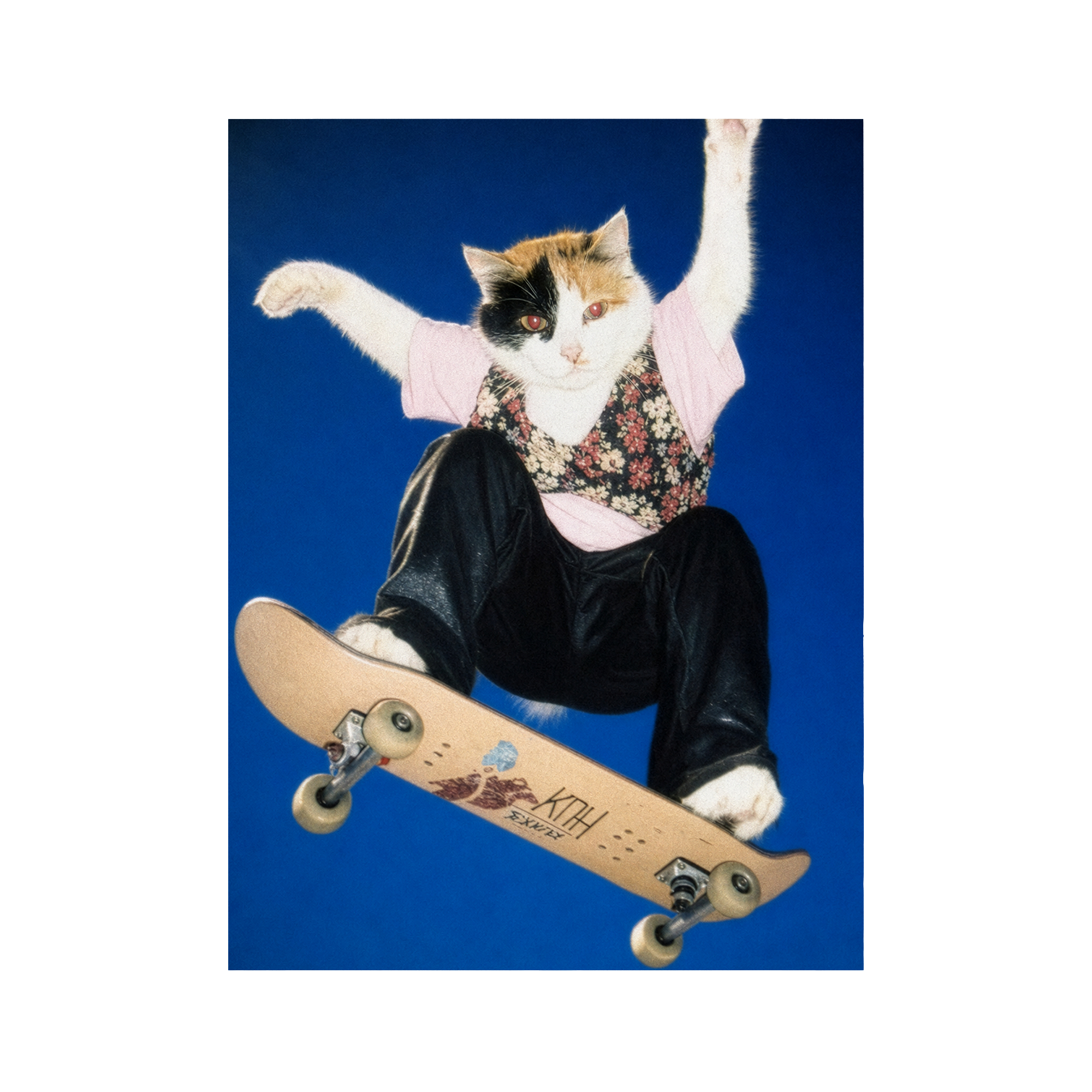 "Half Pipe" - Framed Pet Portrait