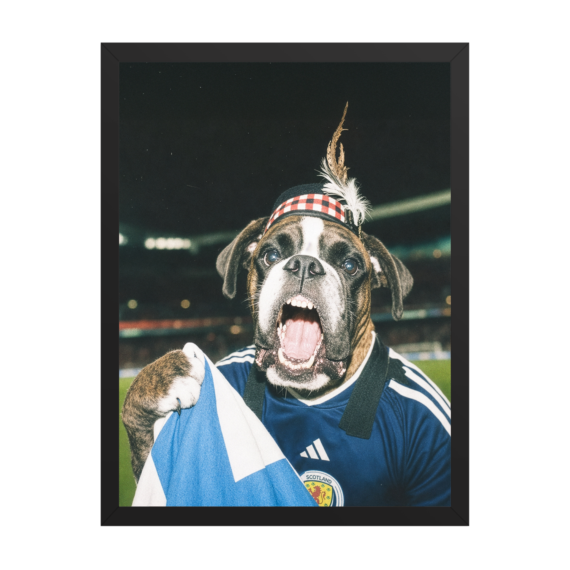 "Tartan Army" - Framed Pet Portrait