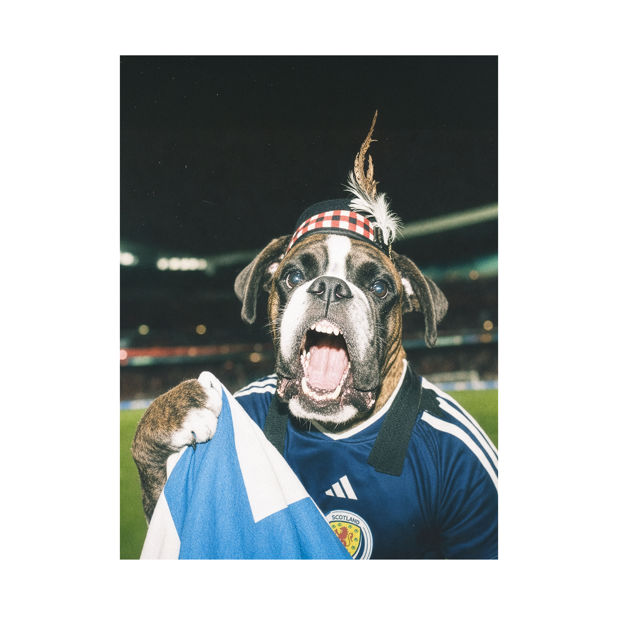 "Tartan Army" - Framed Pet Portrait