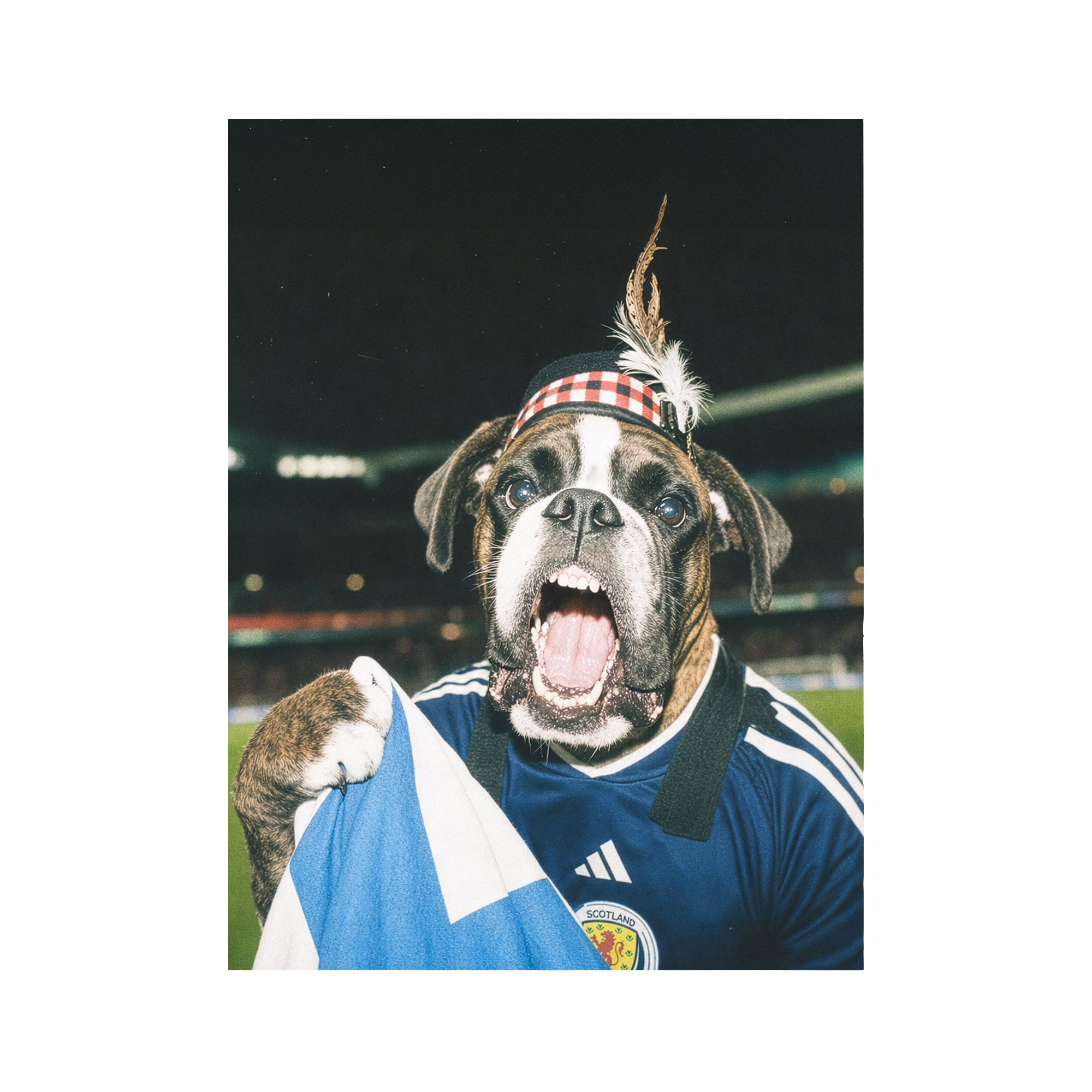 "Tartan Army" - Framed Pet Portrait