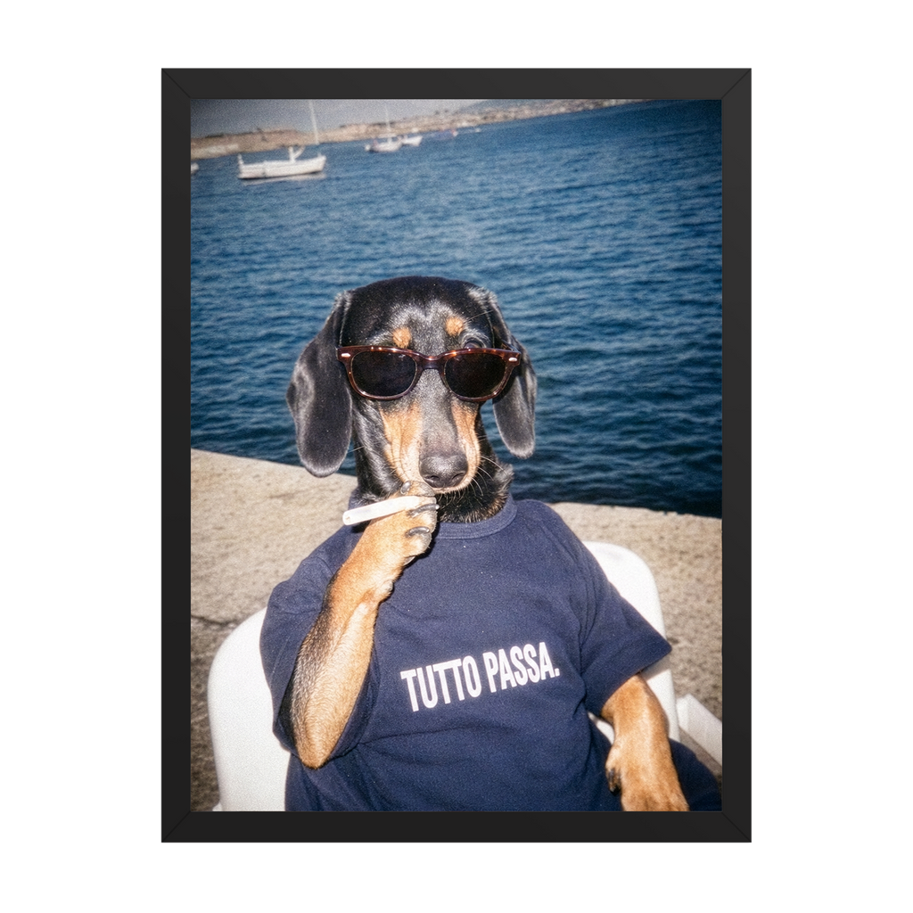 "Tutto Passa" - Framed Pet Portrait