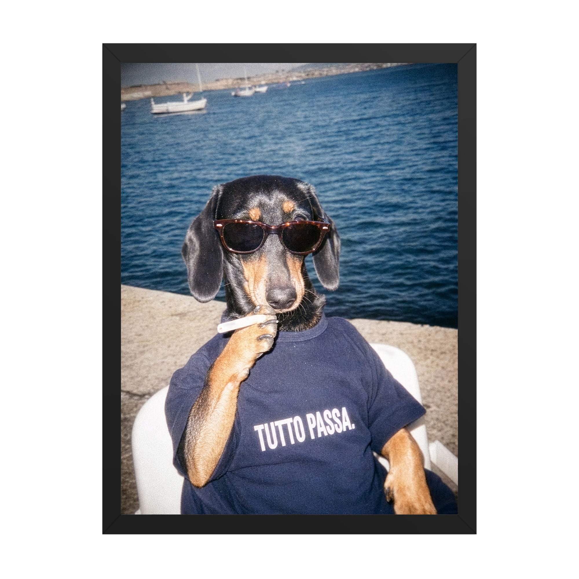 "Tutto Passa" - Framed Pet Portrait