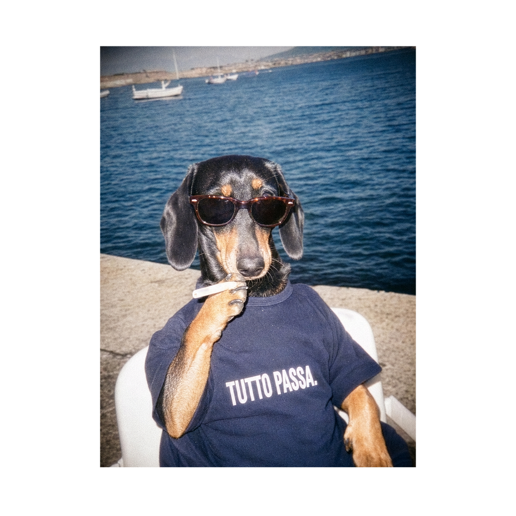 "Tutto Passa" - Framed Pet Portrait