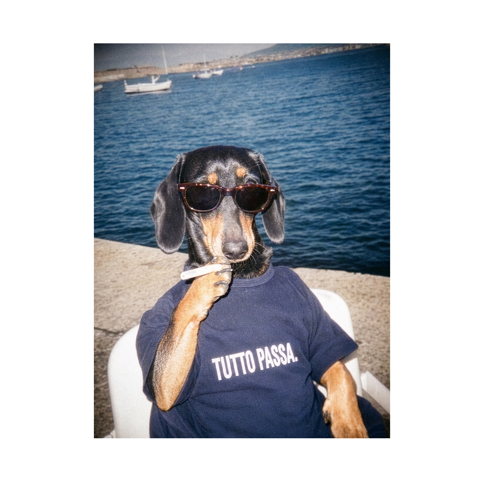 "Tutto Passa" - Framed Pet Portrait