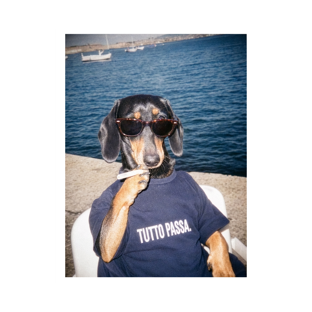 "Tutto Passa" - Framed Pet Portrait