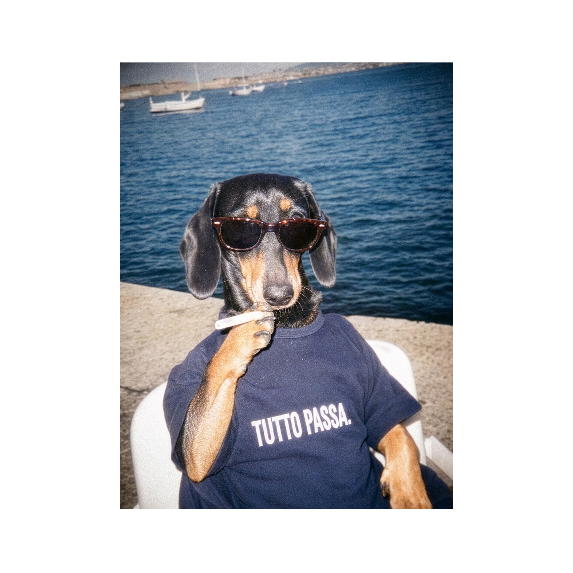 "Tutto Passa" - Framed Pet Portrait