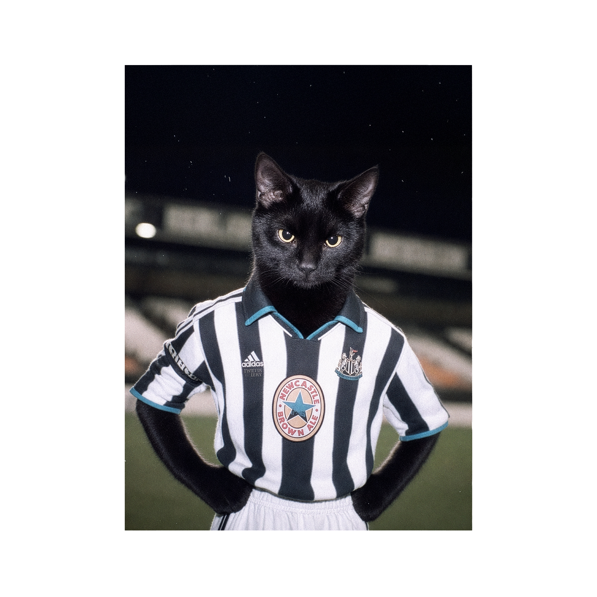 "The Toon" - Framed Pet Portrait